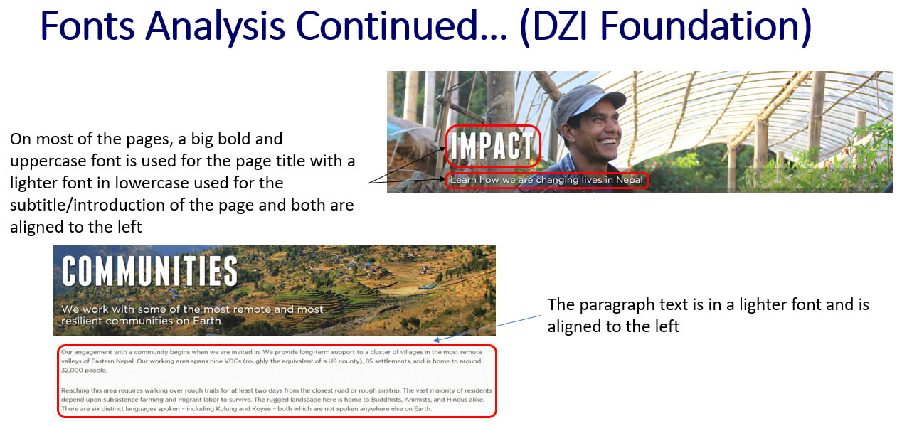 'DZI Foundation' Website Font Analysis - Part 4