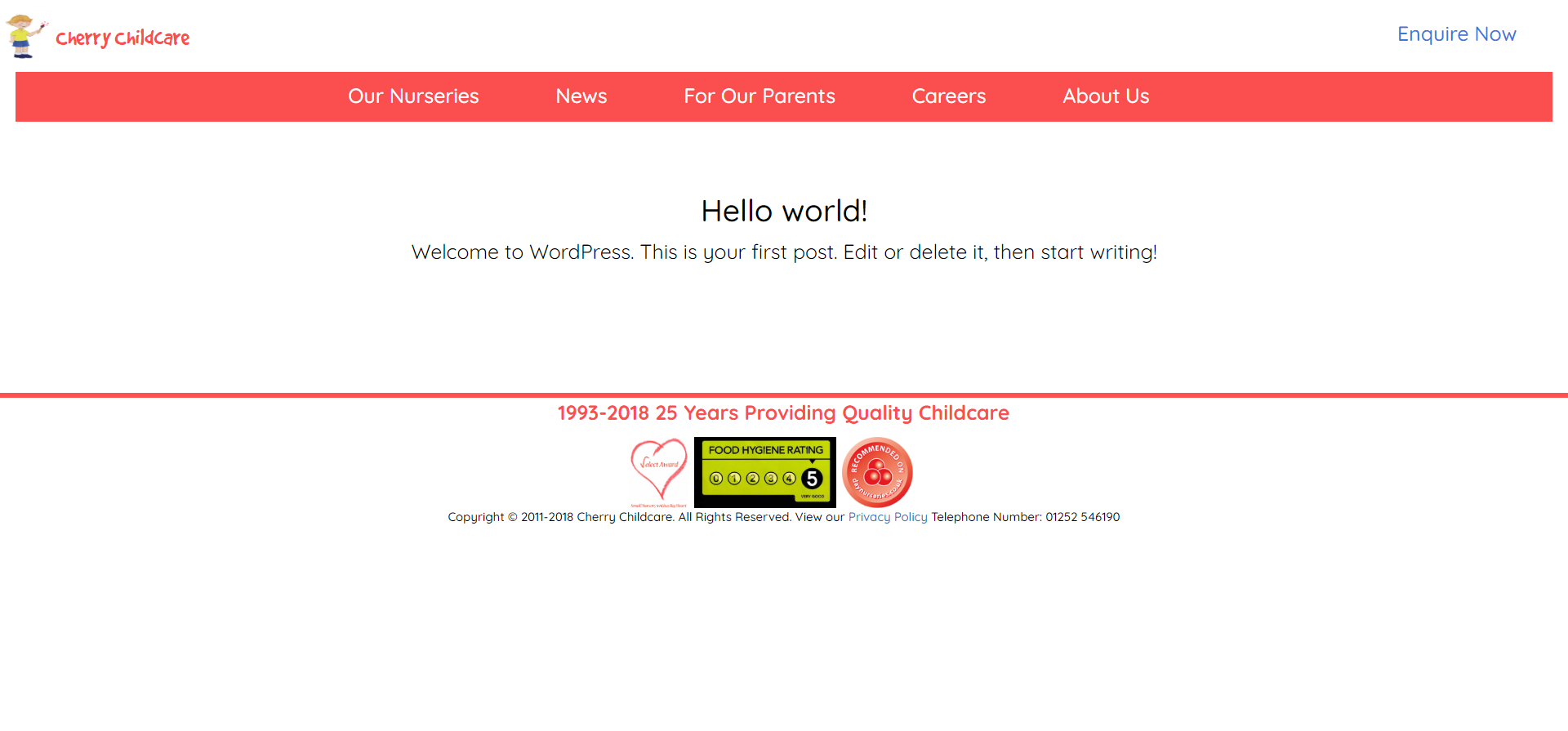 The 'WordPress' Default News Page Created by the other Developer