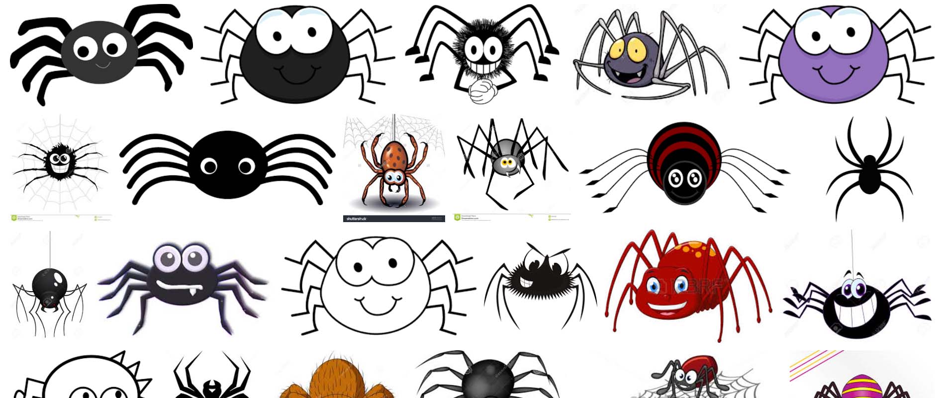 Spider Character Inspiration