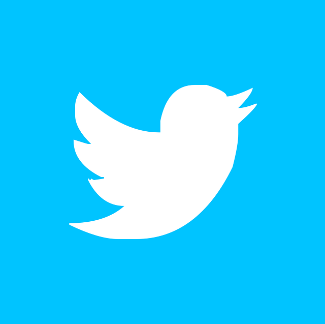 'Twitter' Logo